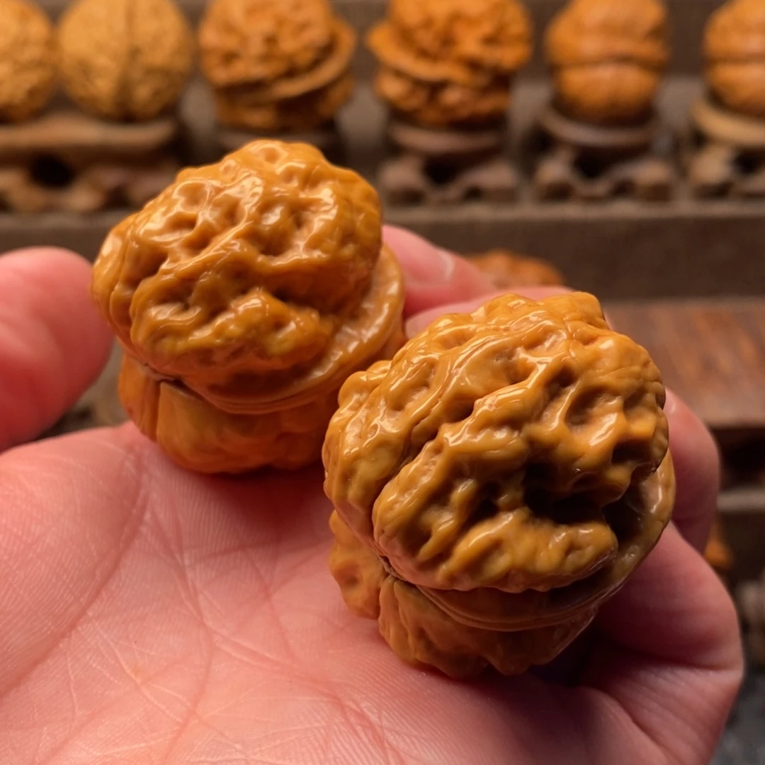 文玩核桃把件39尺寸金蟾疙瘩包