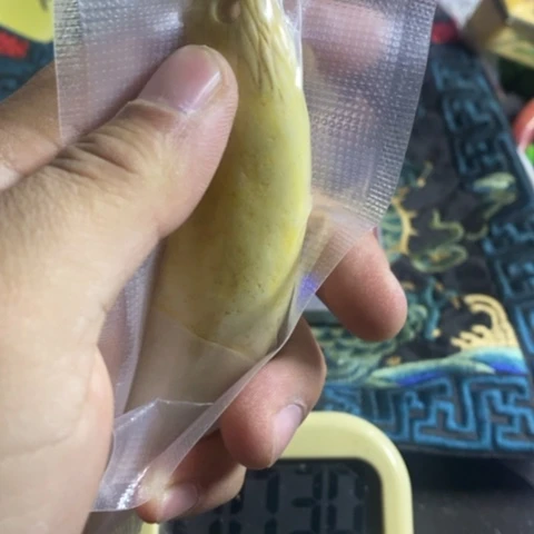 陶官方链接放心拍