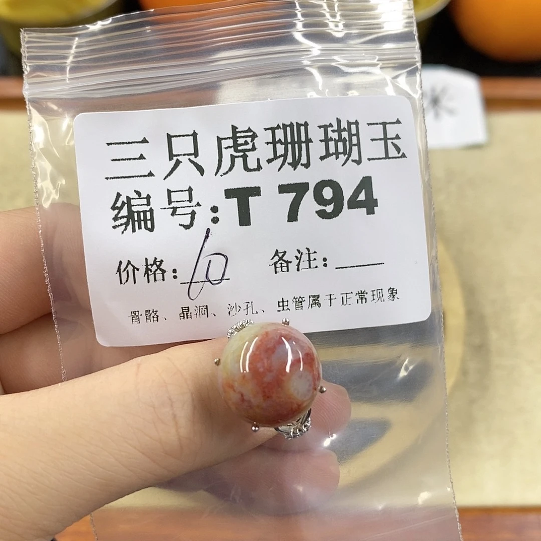 硅化珊瑚（珊瑚玉）1未镶嵌乌****子