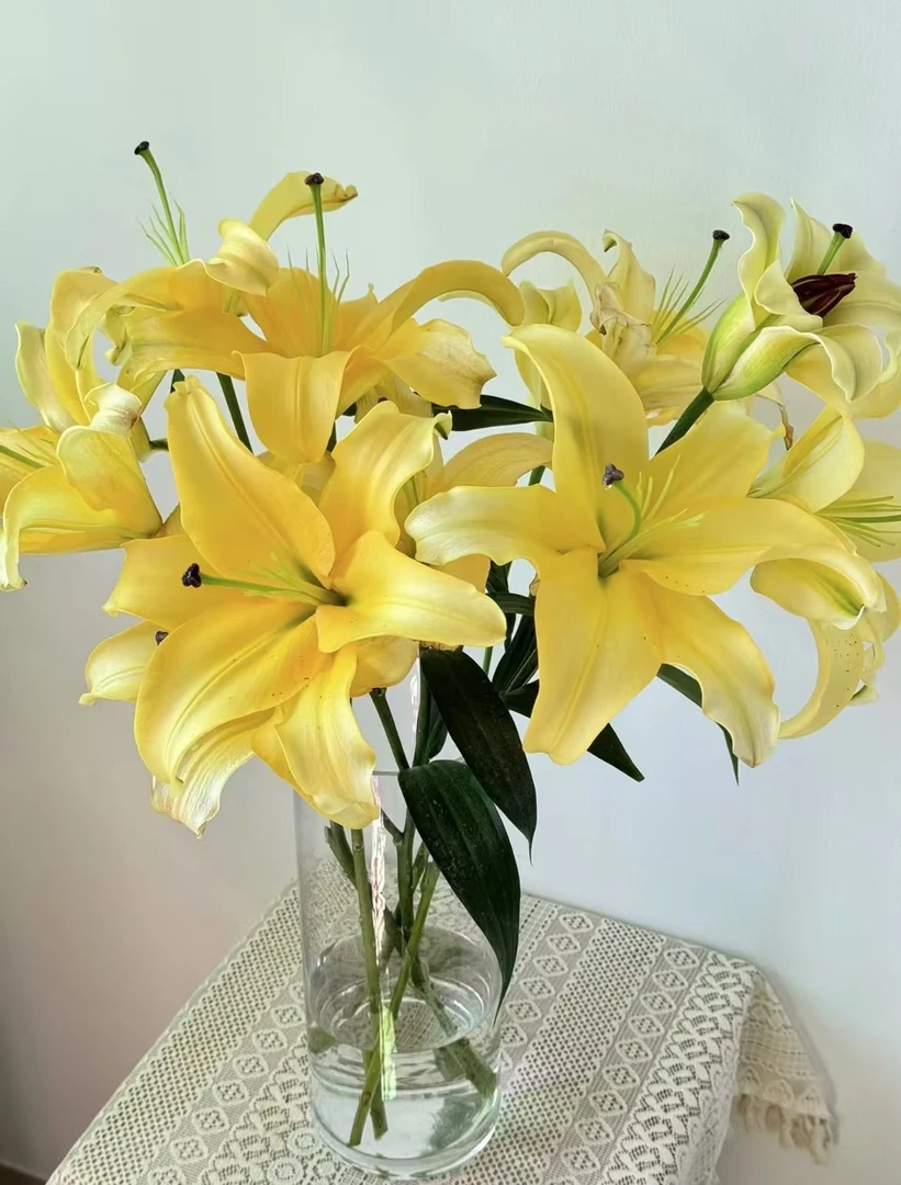 （百合福利）黄色亚百合云南昆明基地直发新鲜插花家用水养鲜花