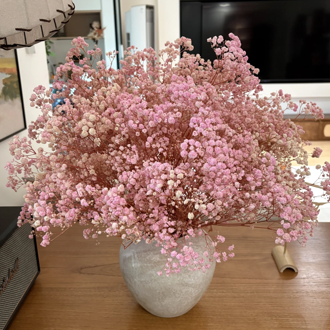 【拾花拾木】粉色永生花满天星 鲜花云南鲜花