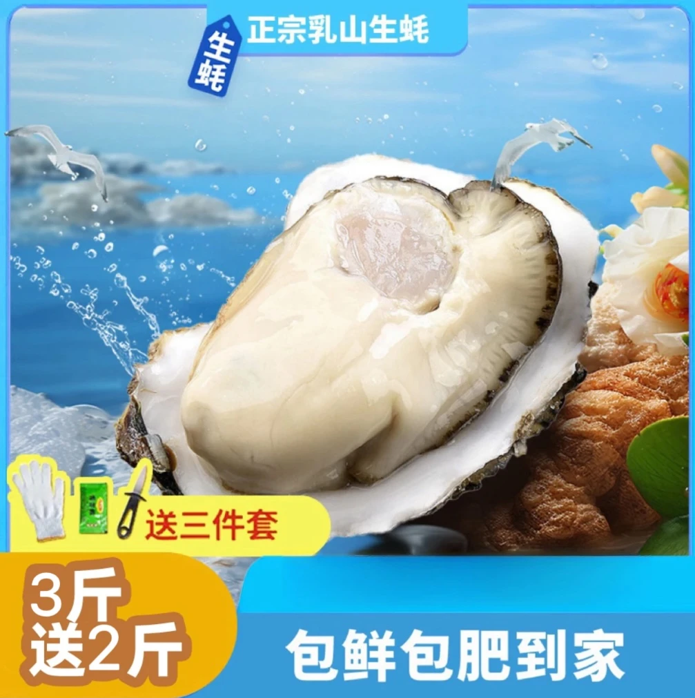 【买3斤送2斤】正宗乳山生蚝新鲜牡蛎