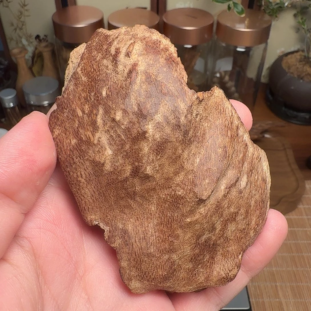 沉香25.07g海南包头老料