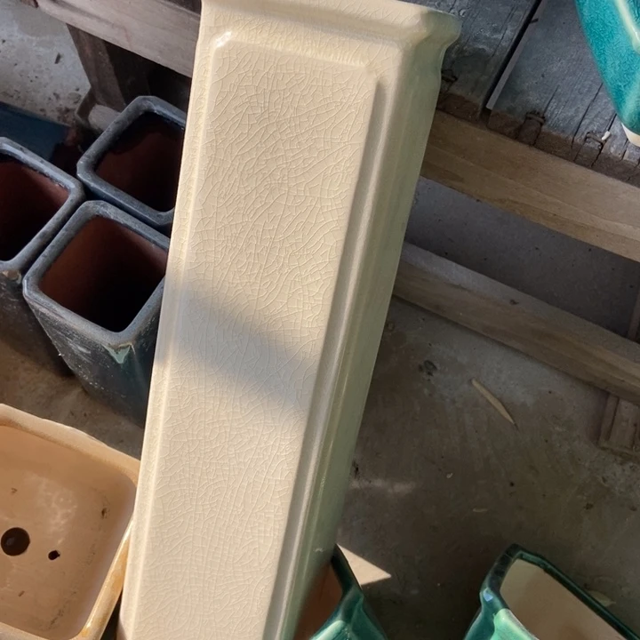 花盆花盆福利多多