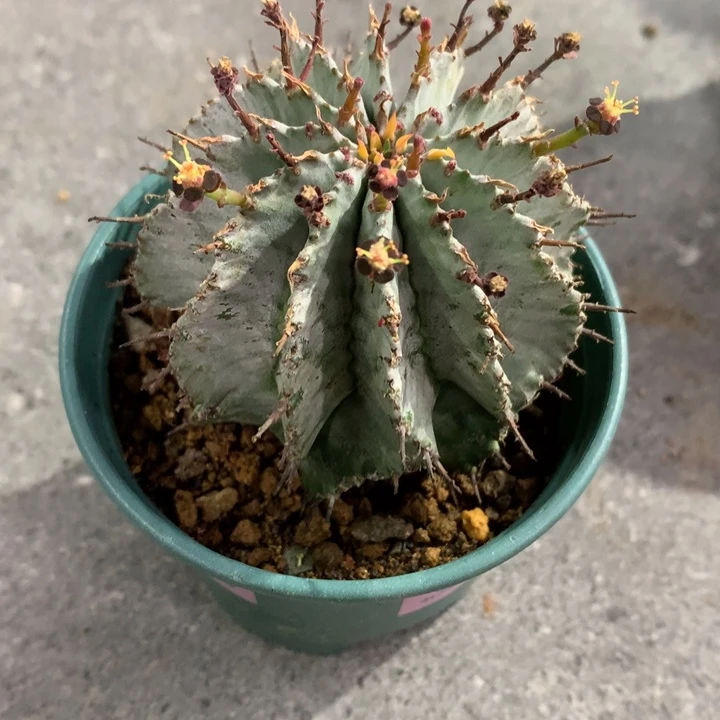 【闪购商品】伤**磊开播福利实生实生实生