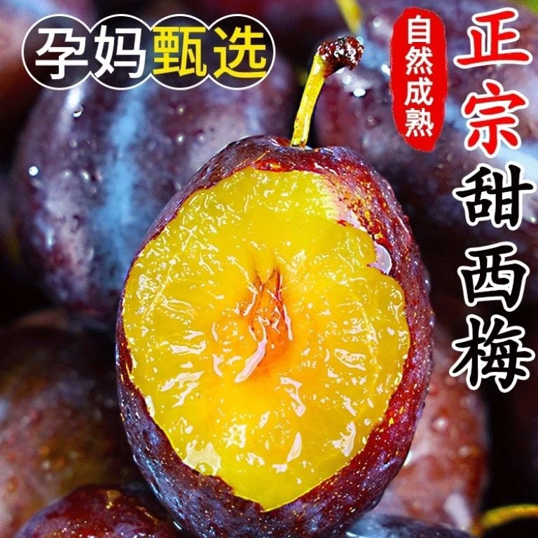 顺丰包邮西梅现摘现发新鲜正宗西梅当季新鲜水果西梅顺丰包邮