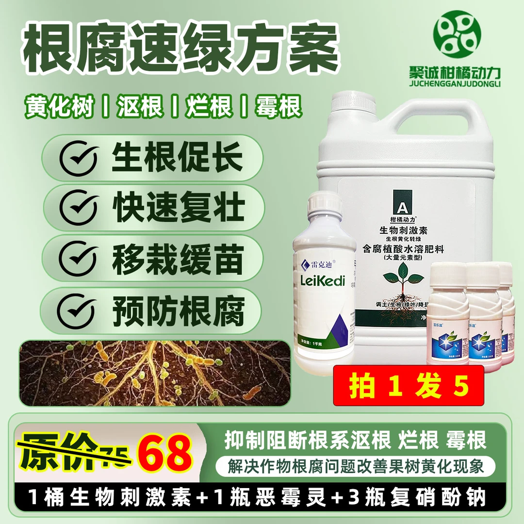 柑橘动力根腐速绿方案生根黄化转绿含腐殖酸水溶肥改善黄化现象