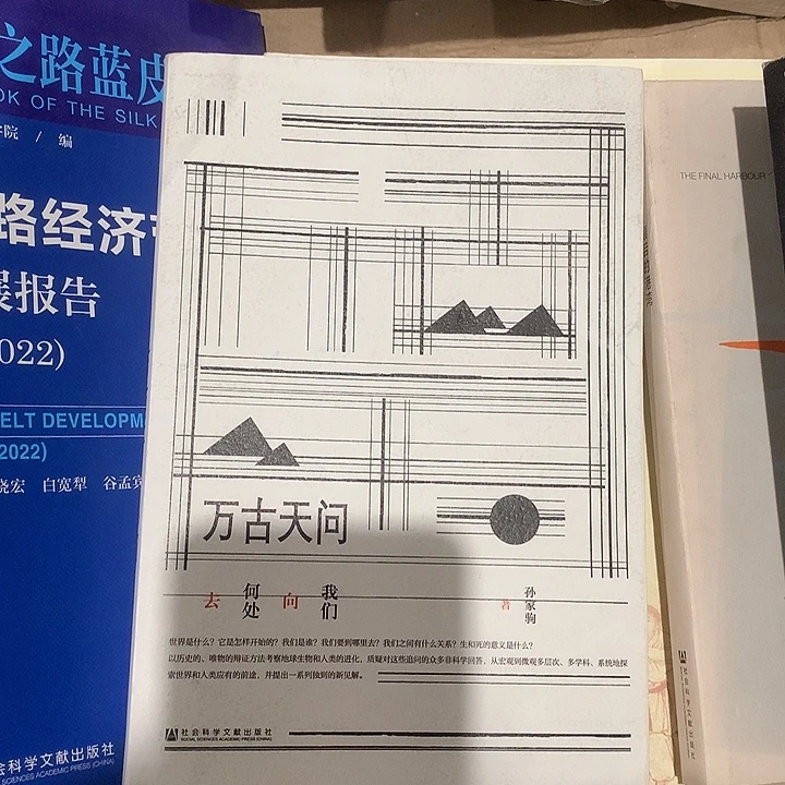 万古天问默认微瑕介意勿拍