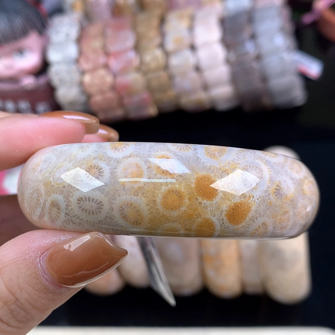 【闪购商品】颈饰未镶嵌硅化珊瑚（珊瑚玉）精美手镯54.6（51号）