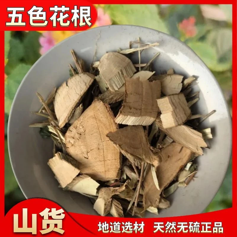 农村五色花根又名五色梅根臭花头根刺儿花根干货老根切片正品包邮