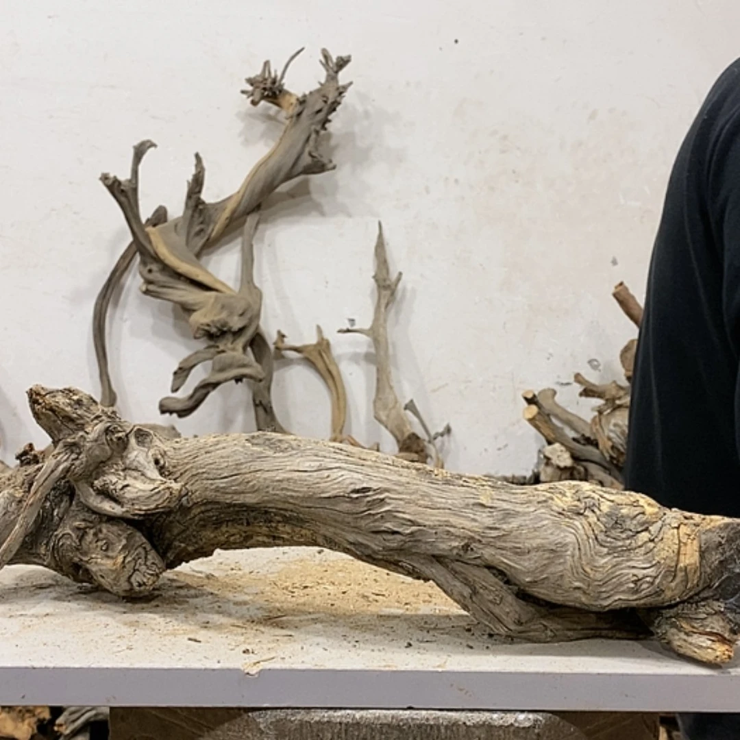 【闪购商品】柏木木****店我们都是好孩子