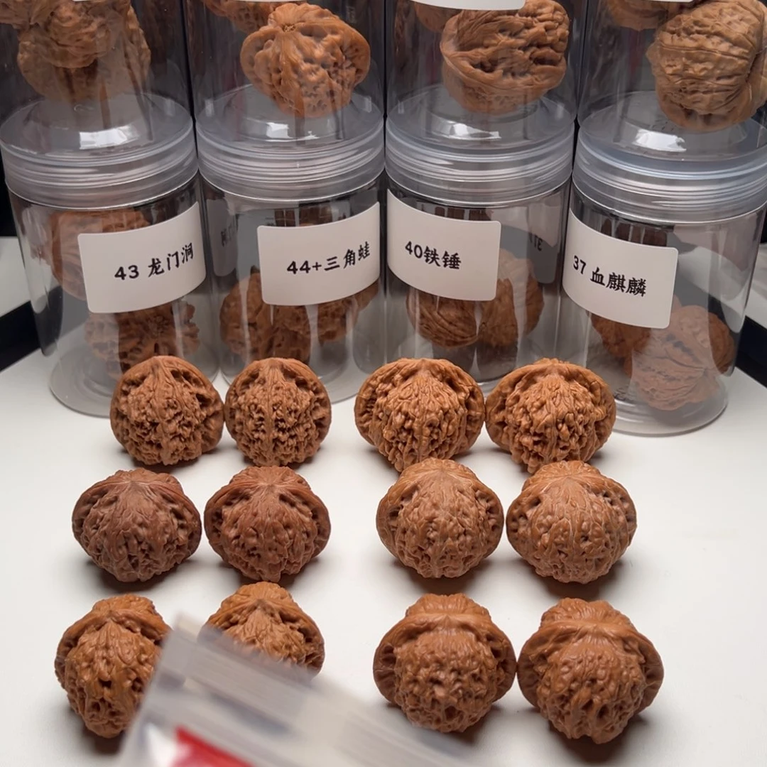 大叶紫檀（黑酸枝木类）35大蒜头一个