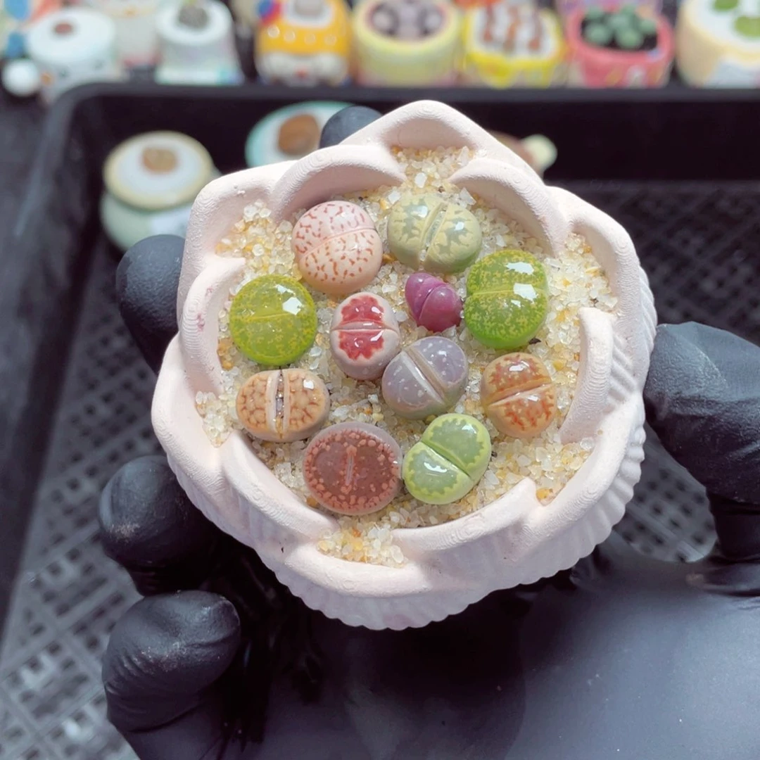 w8879--零下地区拍保温箱，-15度支持寄养