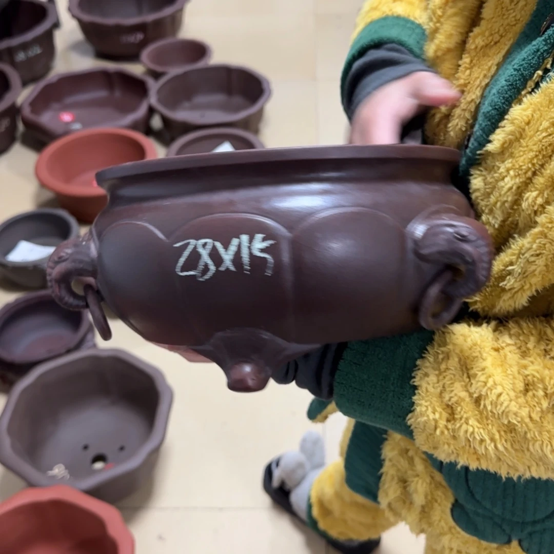 紫砂花盆呜呜呜呜