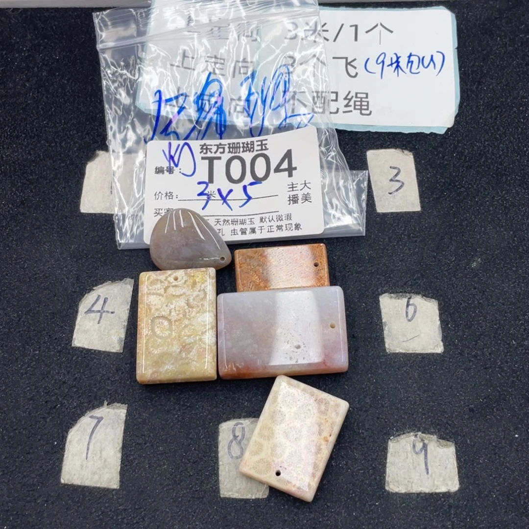 硅化珊瑚（珊瑚玉）合金颈饰锦**多