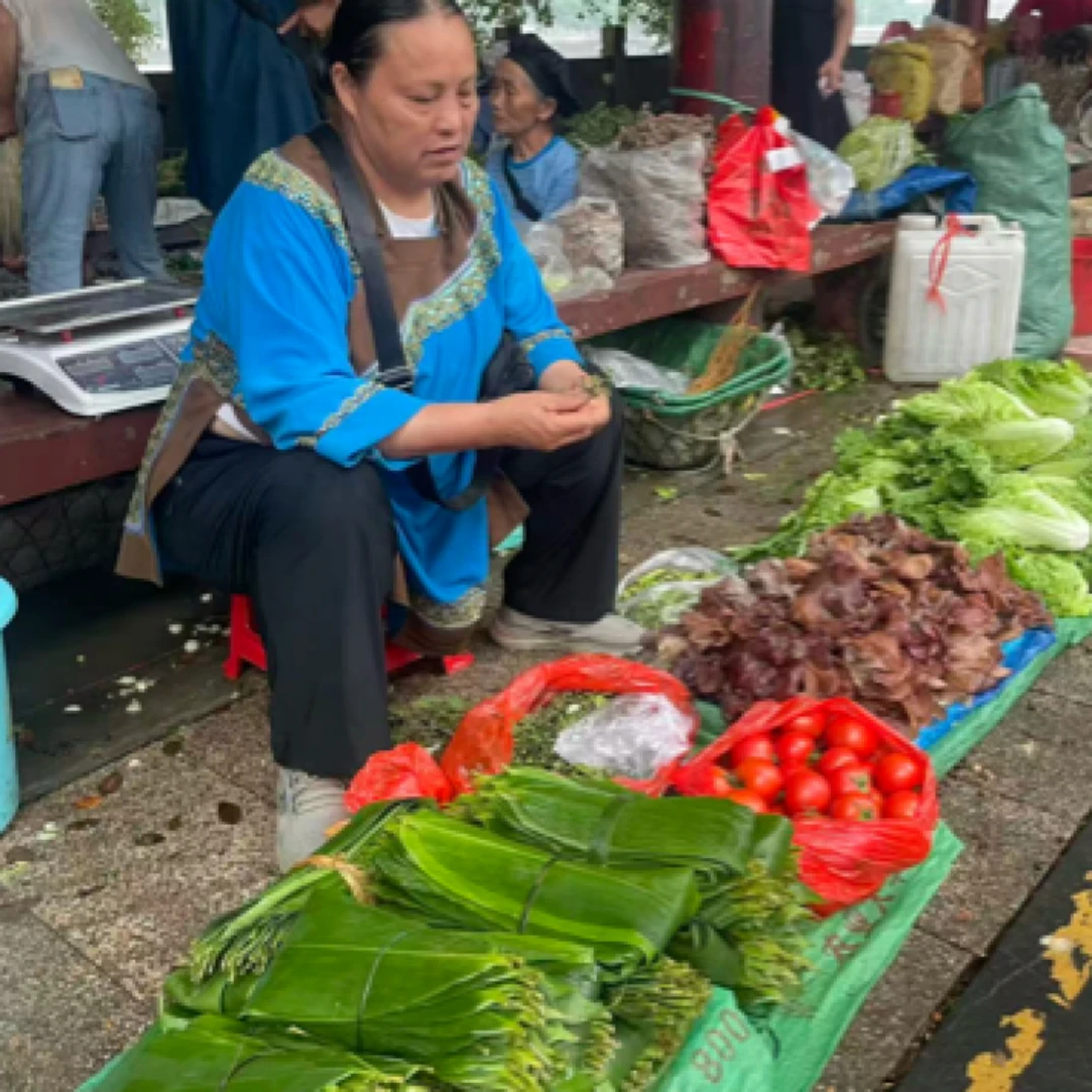 贵州农家自种露天粽子叶