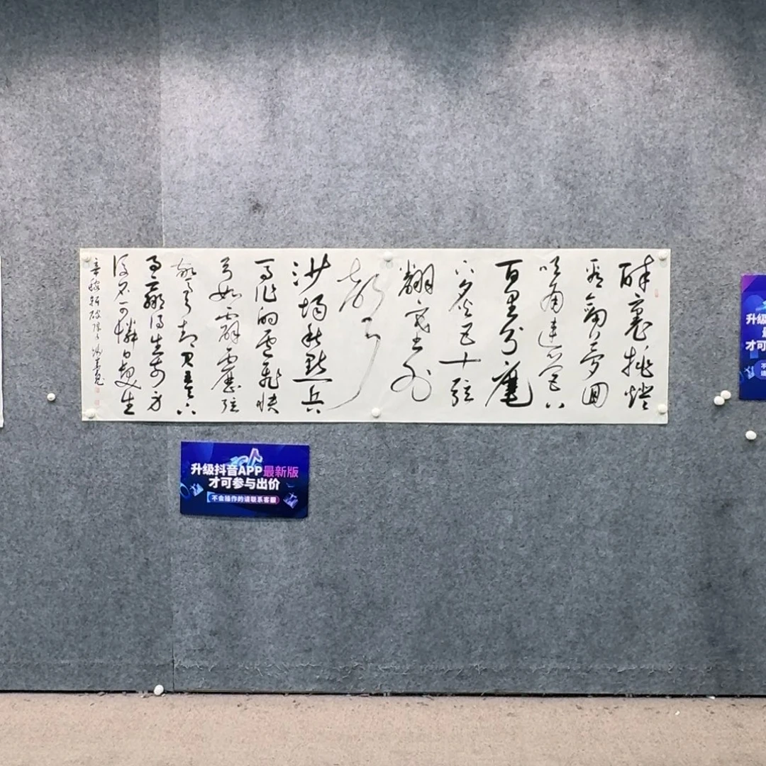 书法书法QSK老师作品