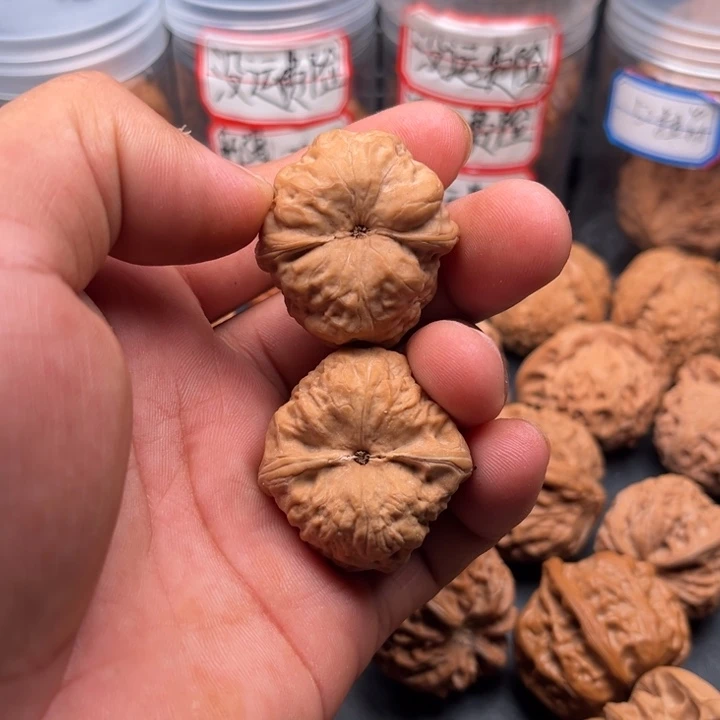 文玩核桃把件古蝉