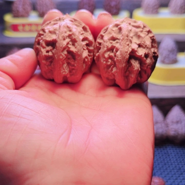 核桃1号车放漏漏漏