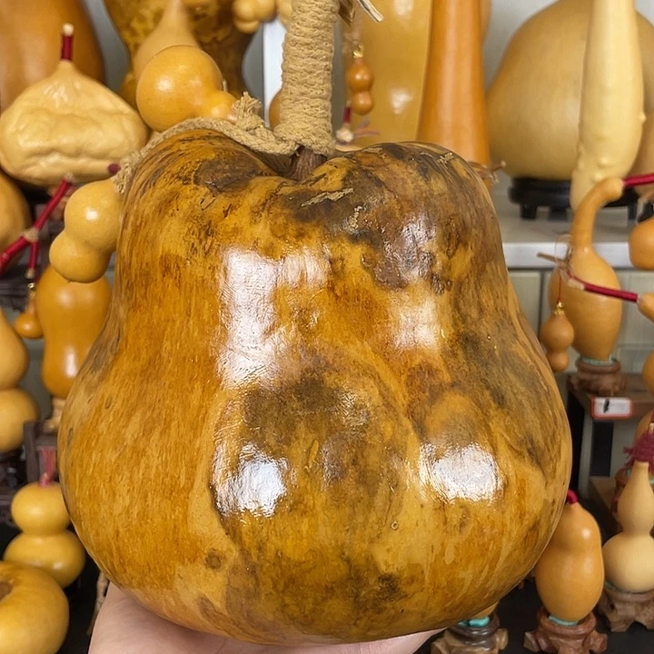 嗷**呜166666668888888888888