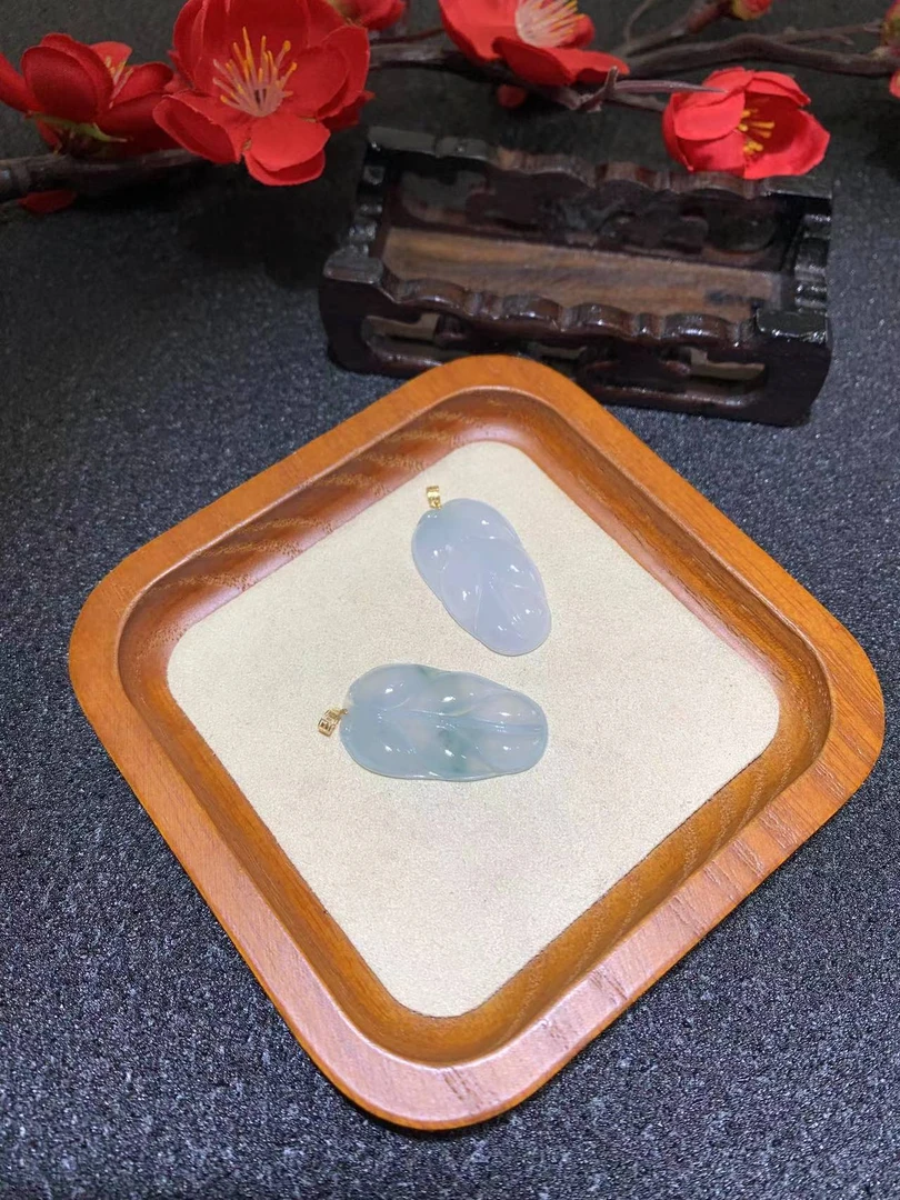 翡翠叶子F589多样性发一