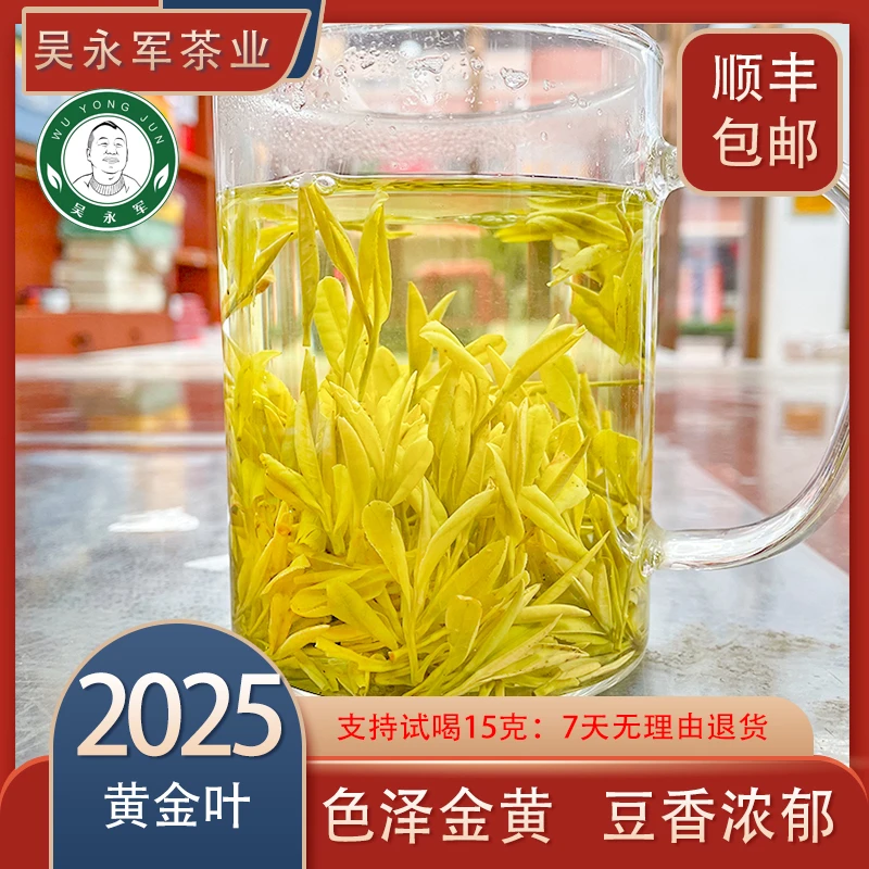 ~2025春茶新茶白银级安吉黄金叶口粮耐泡豆香浓厚