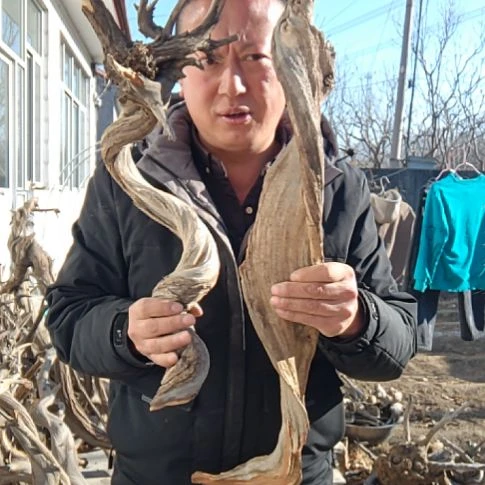 漂亮的坨坨000281