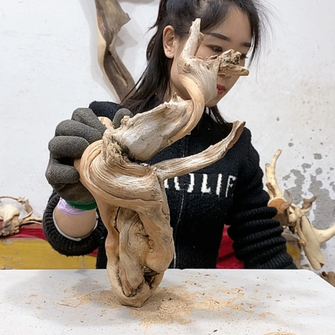 【闪购商品】柏木大***~我们都是好孩子