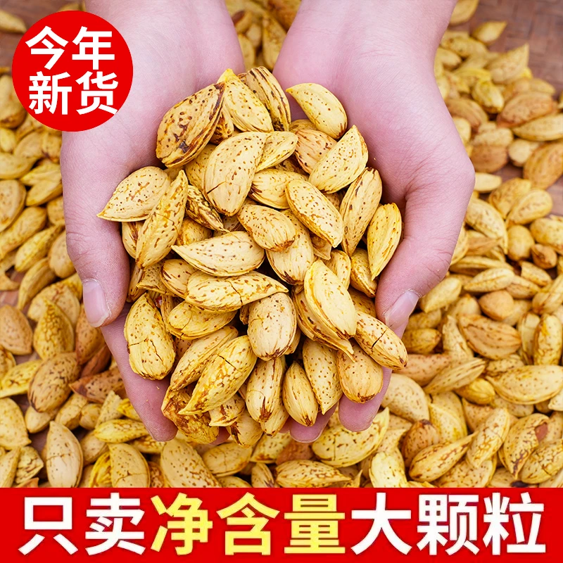 新货巴达木原果大颗粒/500g
