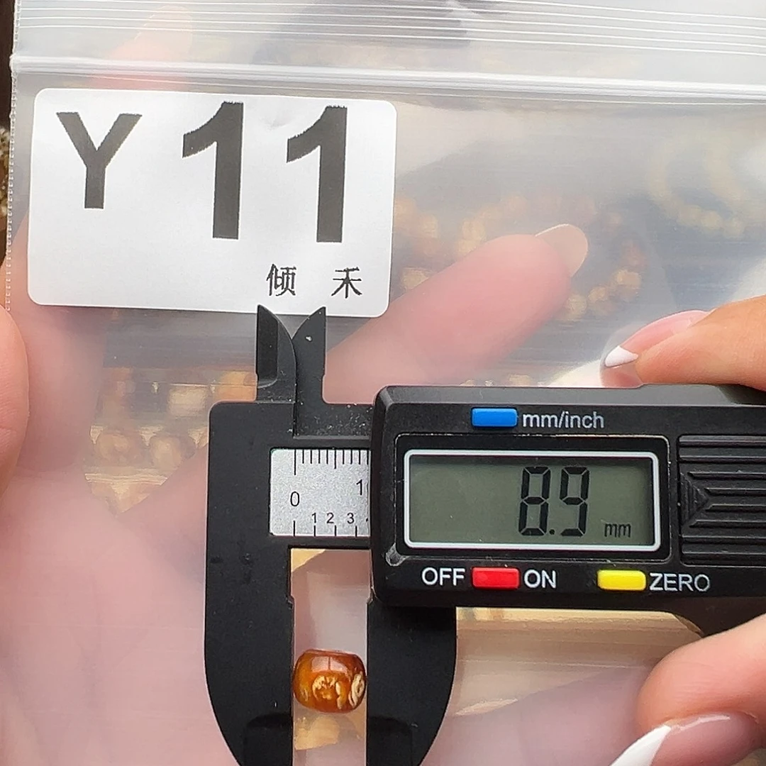 裸石琥珀未镶嵌微瑕