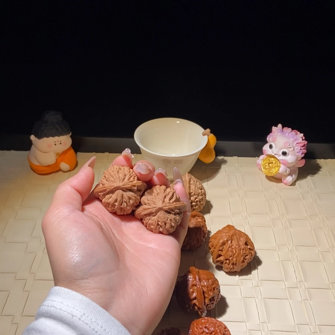 胖***0菩提籽类白狮子37 188