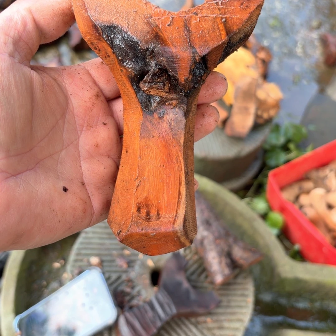 长***夜直播间现拍 不退换 看好下单