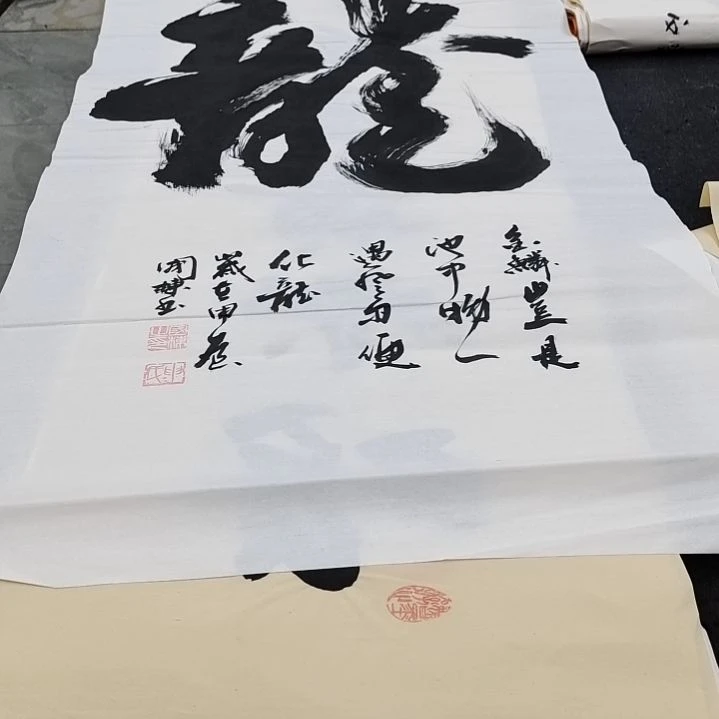 翰墨申老师作品一副