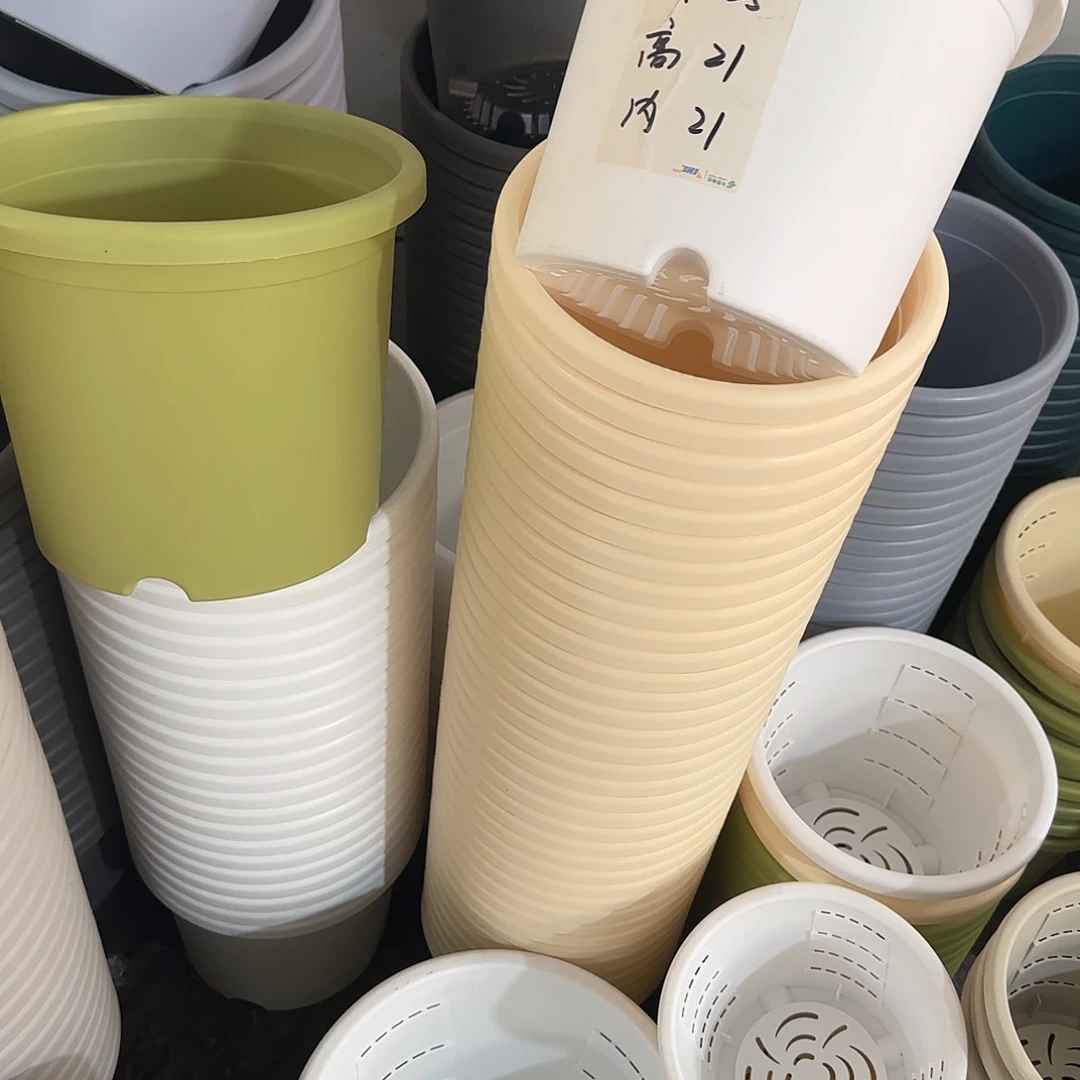 微瑕4号灰白3，果绿3无托
