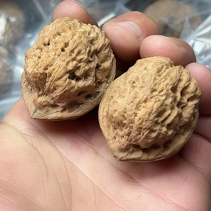 文玩核桃把件6号古陀金蟾40尺