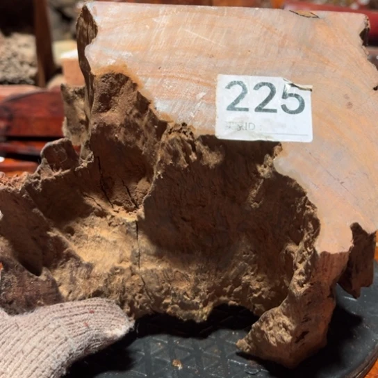 大果紫檀（缅甸花梨）