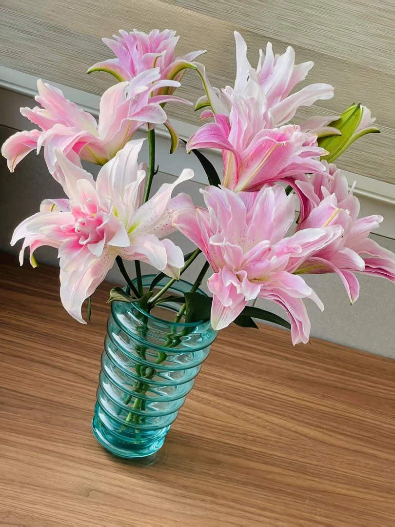 莲花雅致-重瓣  香水百合（上色深浅跟当地气温有关）