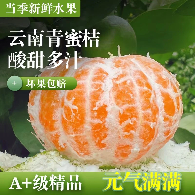 新鲜现摘云南高原蜜橘当季水果薄皮香甜多汁青皮桔子孕妇水果包邮