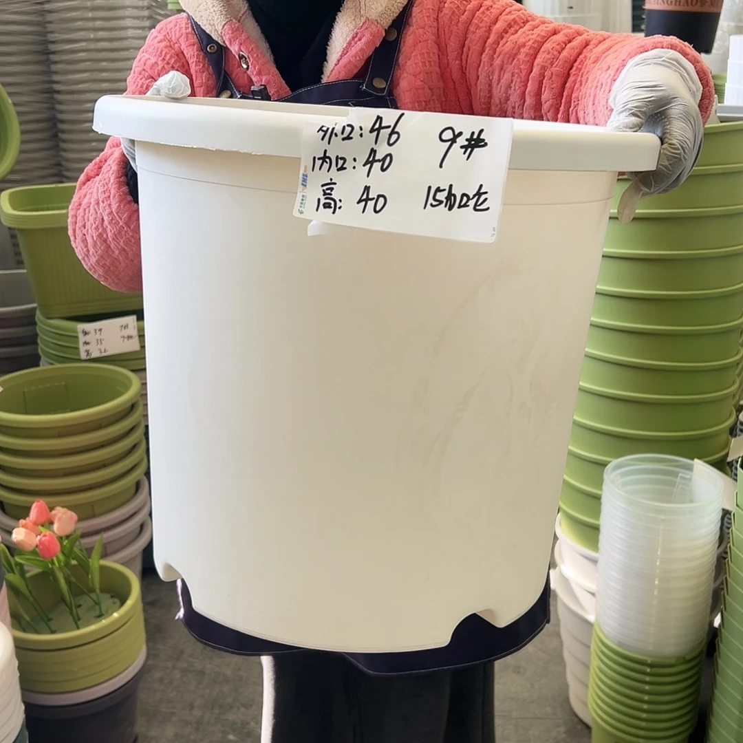 四季盆9#白色4个无托