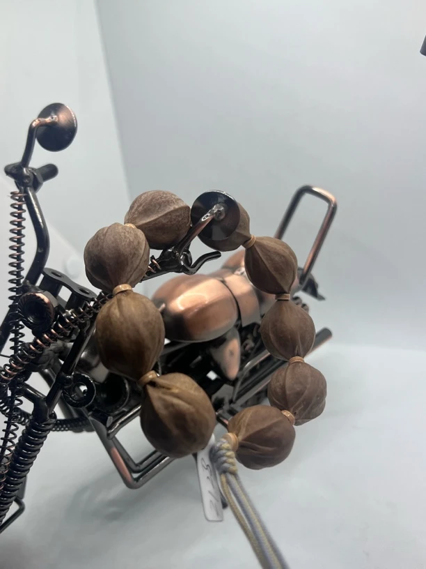 21/28梅林铁核素串