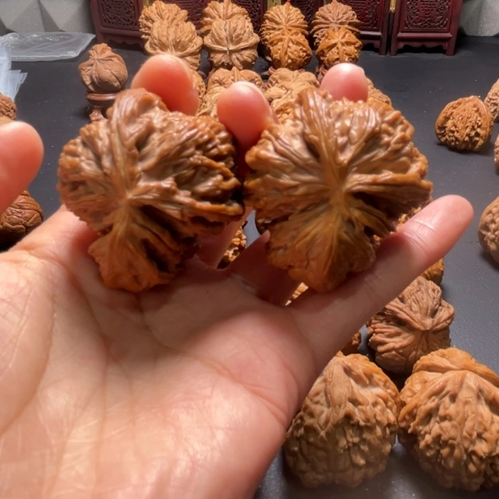 白狮子犀牛角核桃哈哈哈哈哈哈