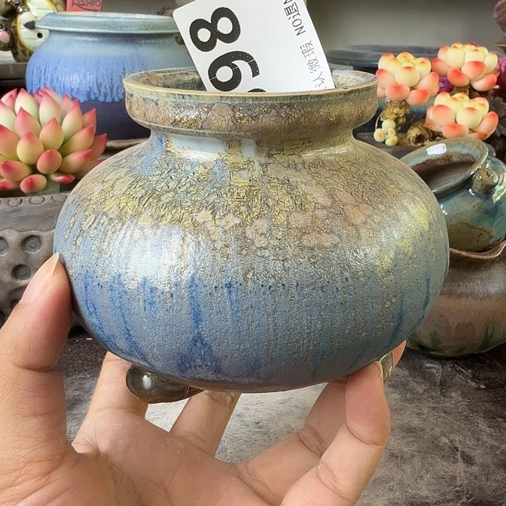 重庆小燕子欢迎大家598