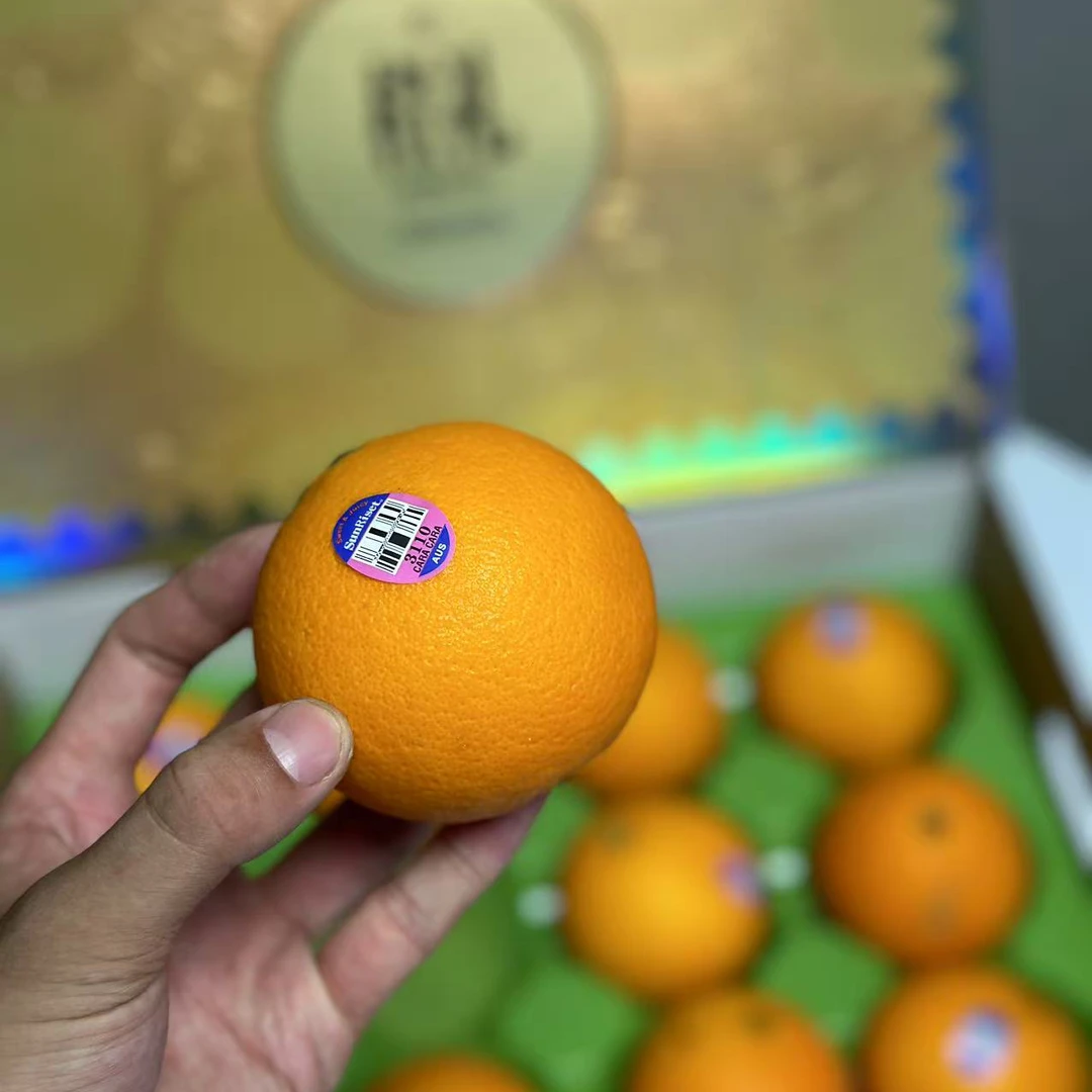 澳洲血橙礼盒12枚5.5斤净,新鲜水果当季红肉橙子