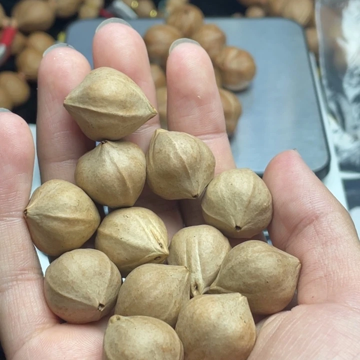 手串/手链橄榄核1.8