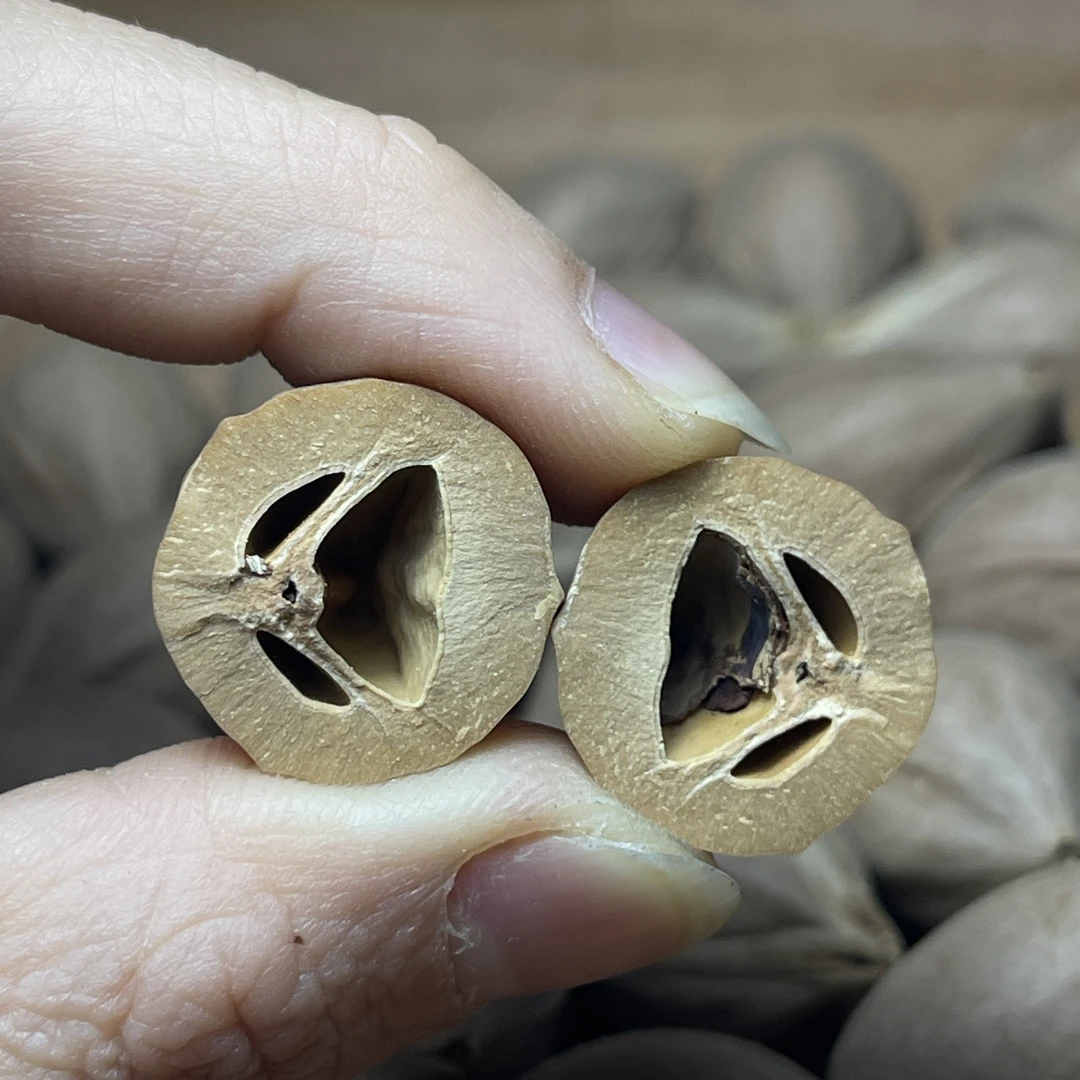 C1橄榄核老料宽1.8-1.9长30-33厚0.6+ 48颗