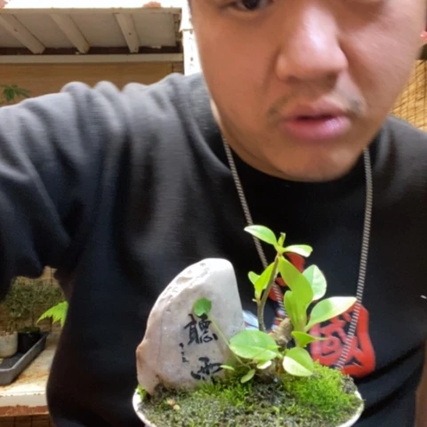 红陶?*儿一物一拍所见即所得195