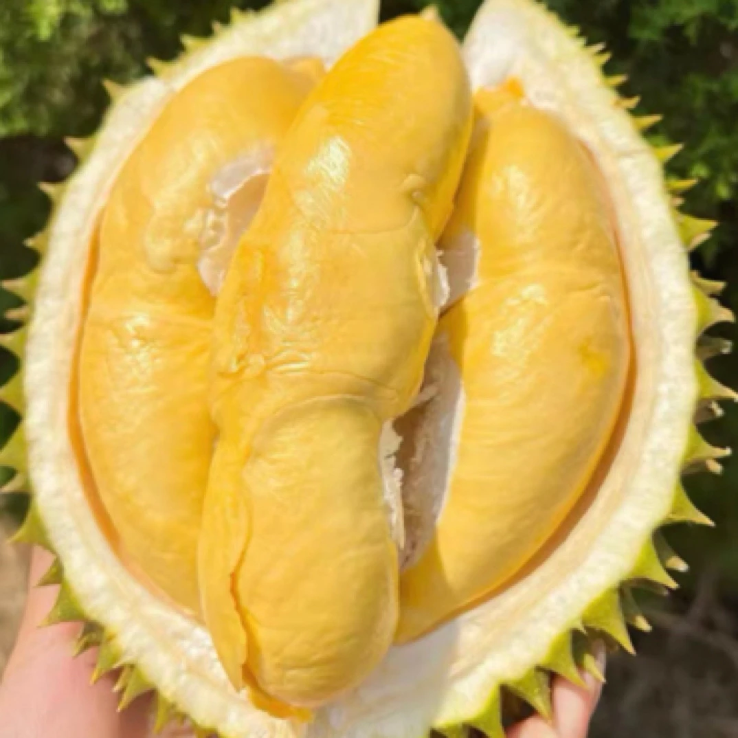 小陈·泰国长柄猫老树榴莲一物一拍生切不售后