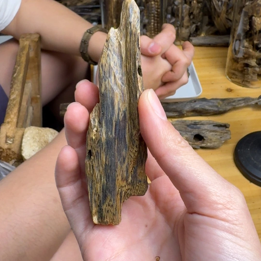 沉香沉香碎屑蓝宝石块料14克