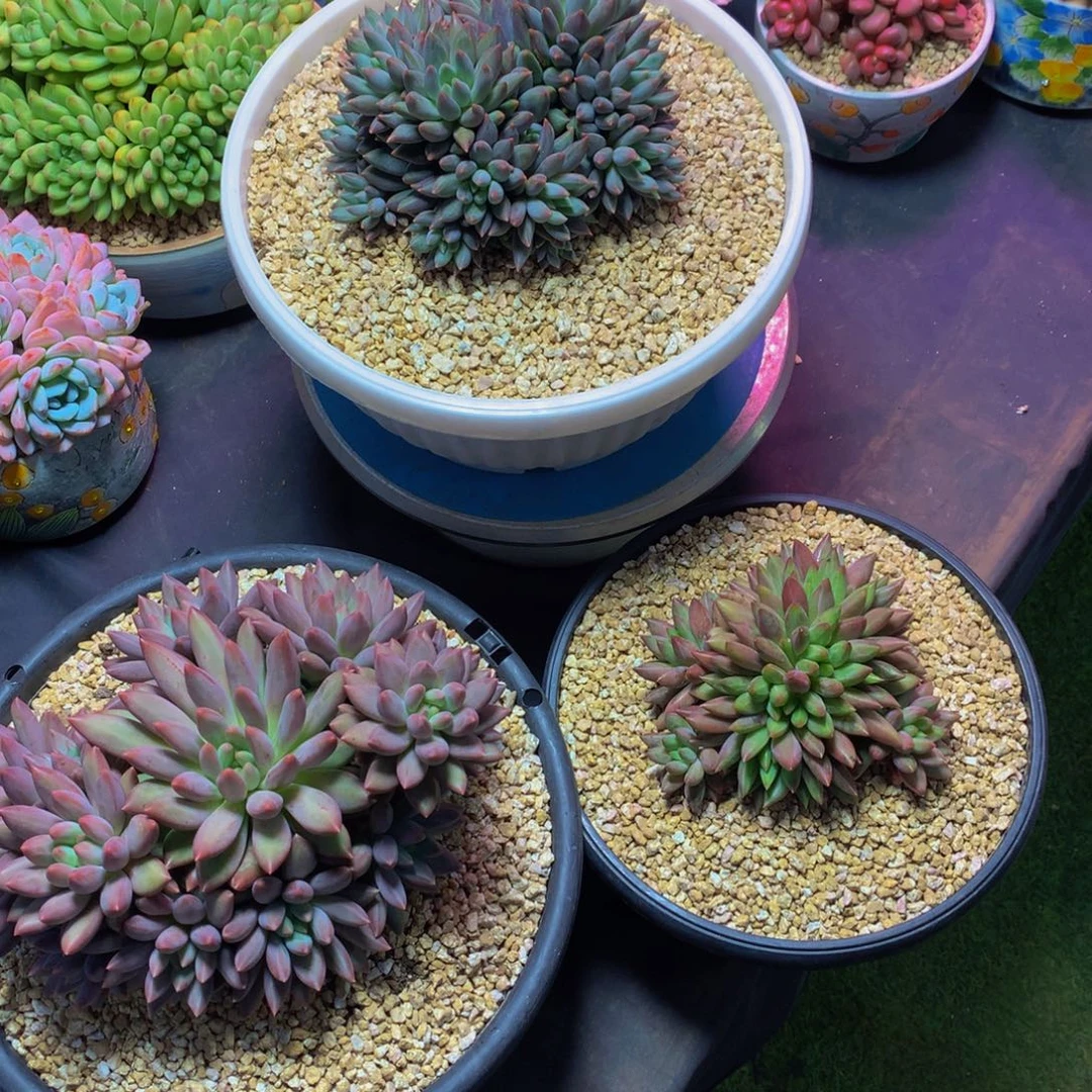 幸***好哈哈哈哈哈哈哈哈哈哈哈哈