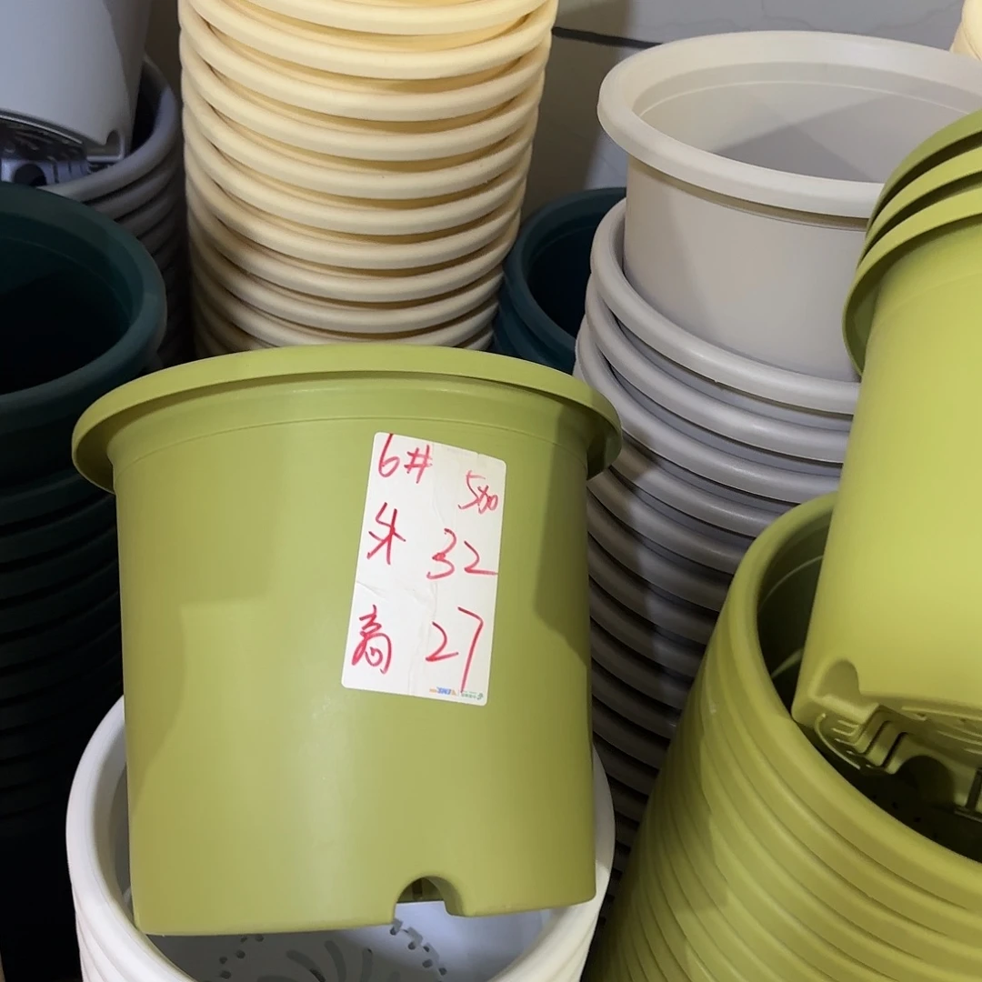 微瑕6号无托7个，果绿